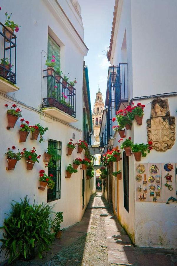 Casa Juanma Apartment Cordoba Luaran gambar